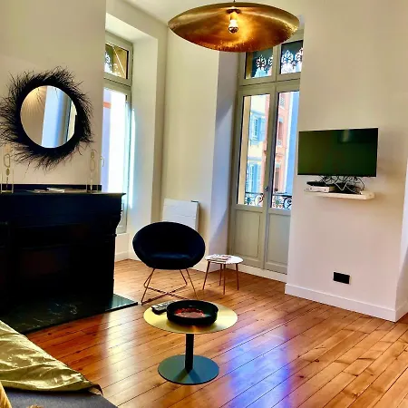 Merveilleux T2 De Standing A 90m De La Garonne Apartament Tuluza