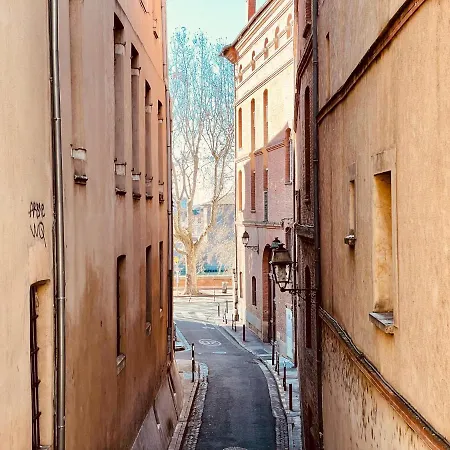 Apartament Merveilleux T2 De Standing A 90m De La Garonne *